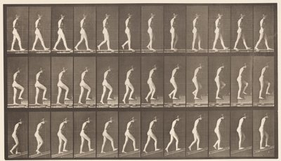 プレート482。A、ウォーキング。 B、上行階段; C、アセンディングインクライン、1872-1885 作： Eadweard Muybridge