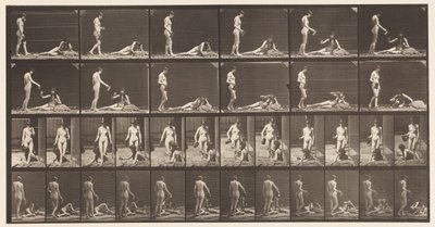 プレート485。2つのモデル。 A、10ゴブレットを立てて詰める;、1872-1885 作： Eadweard Muybridge