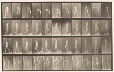 プレート486。A、ローンテニス。 B、階段を上る;、1872-1885 作： Eadweard Muybridge