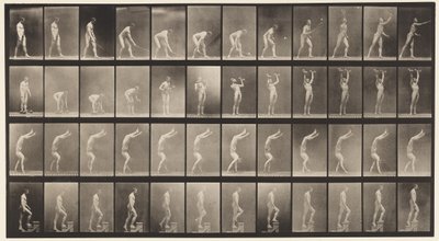 プレート488。A、ローンテニス。 B、ダムベル; C、手で歩く;、1872-1885 作： Eadweard Muybridge