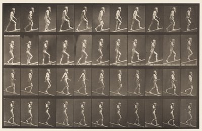 プレート489. A、Ascending Incline ;, 1872-1885 作： Eadweard Muybridge