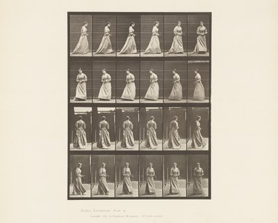 プレート48.両手でブーケを歩いて方向転換する、1885 作： Eadweard Muybridge
