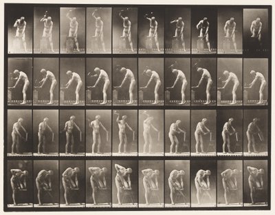 プレート491。A、アンビルでのハンマー。 B、アンビルでのハンマー 作： Eadweard Muybridge