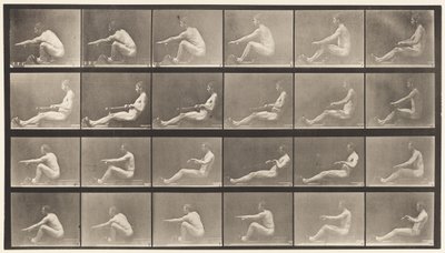 プレート492。A 作： Eadweard Muybridge