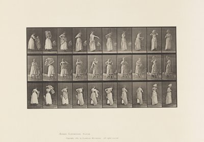 プレート495トイレの様々な局面 作： Eadweard Muybridge