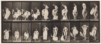 プレート498。トイレのその他のフェーズ、1872〜1885 作： Eadweard Muybridge
