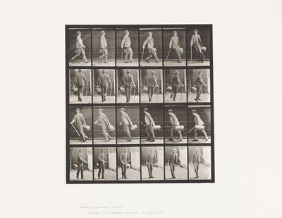 プレート49歩きながら素早く振り向く 作： Eadweard Muybridge