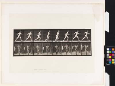 プレート4。ウォーキング 作： Eadweard Muybridge
