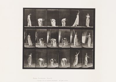 プレート503その他 - ストゥイングなど 作： Eadweard Muybridge