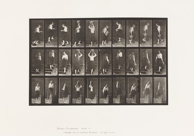 プレート504階段の上昇・下降 作： Eadweard Muybridge
