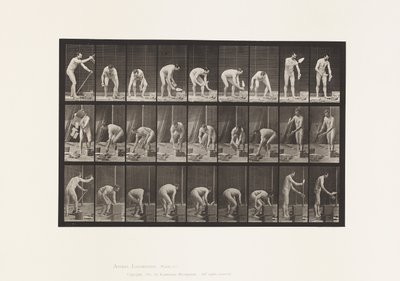 プレート505。煉瓦積み 作： Eadweard Muybridge