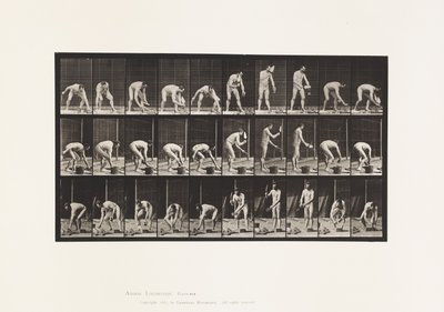 プレート506。煉瓦積み 作： Eadweard Muybridge
