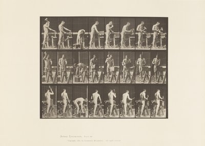 プレート507。大工 作： Eadweard Muybridge