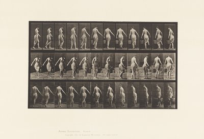 プレート50歩く、バケツを持つ 作： Eadweard Muybridge