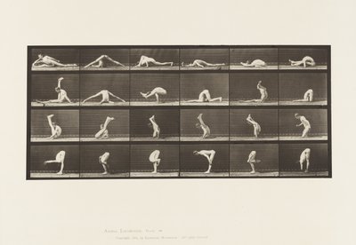 プレート510。地面のゆがみ、1872〜1885 作： Eadweard Muybridge