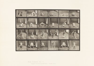 プレート511。地面のゆがみ 作： Eadweard Muybridge