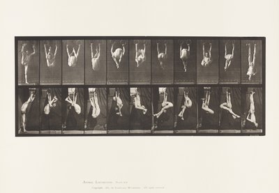プレート512。リングのゆがみ 作： Eadweard Muybridge