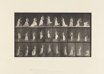 プレート515.上り階段と下り階段など、1885 作： Eadweard Muybridge