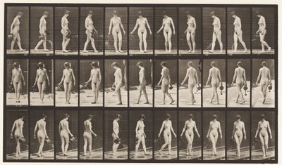 プレート51.散歩用ポットを使用した歩行、方向転換、1872〜1885 作： Eadweard Muybridge