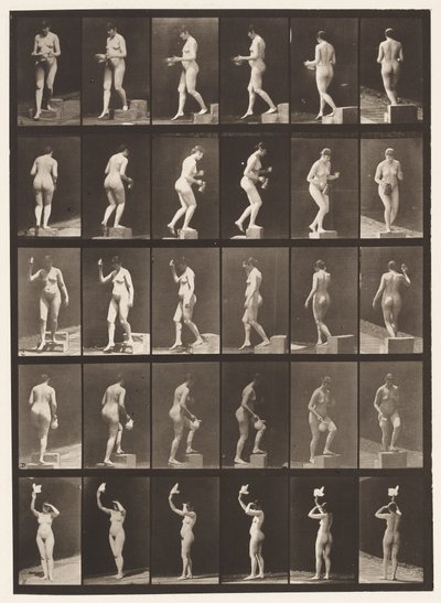 プレート525。A、降順。 B、昇順ステップ、1872〜1885 作： Eadweard Muybridge