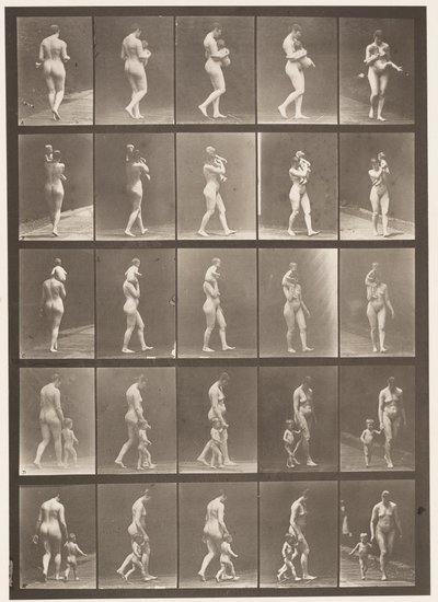 プレート528。A、B、C 作： Eadweard Muybridge