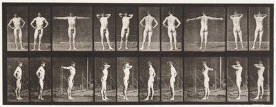 プレート529。さまざまなポーズ 作： Eadweard Muybridge