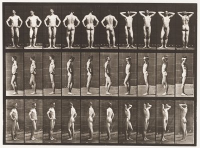 プレート530。さまざまなポーズ 作： Eadweard Muybridge