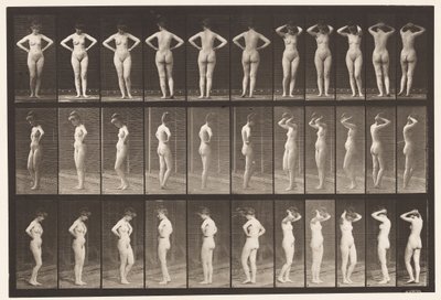 プレート531。さまざまなポーズ 作： Eadweard Muybridge
