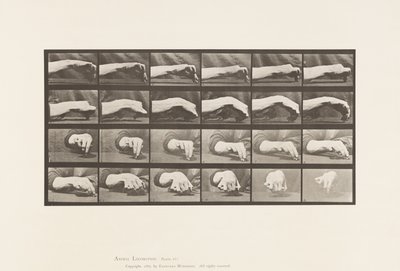 プレート532.手の動き;円を描く、1885 作： Eadweard Muybridge