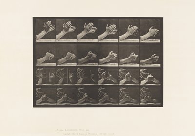 プレート533.手の動き;握り手、1885 作： Eadweard Muybridge