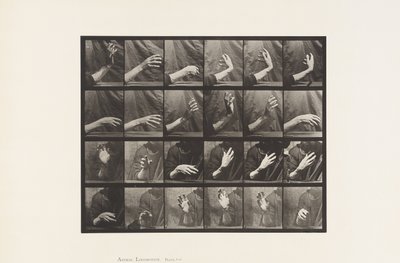 プレート535。手の動き。ビートタイム、1885 作： Eadweard Muybridge