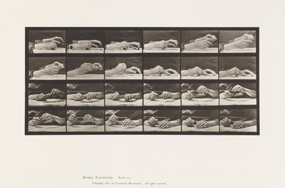 プレート536手の動き、鉛筆を持ち替える手 作： Eadweard Muybridge