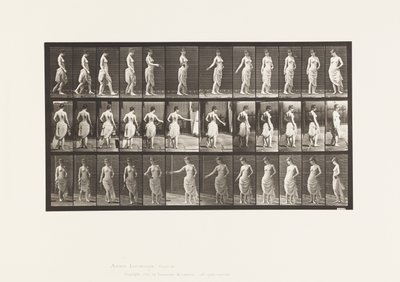 プレート53歩く、花を散らす、アクションを回す 作： Eadweard Muybridge