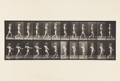 プレート540.A、弓の脚;男の子; B、う蝕;歩く少女、1885 作： Eadweard Muybridge