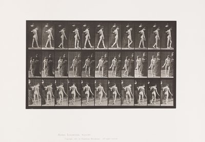 プレート541多発性脳脊髄硬化症（Choreic）；ウォーキング 作： Eadweard Muybridge
