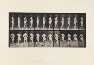 プレート542多発性脳脊髄硬化症 - ウォーキング 作： Eadweard Muybridge