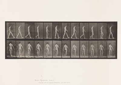 プレート546.運動失調症;ウォーキング、1885 作： Eadweard Muybridge