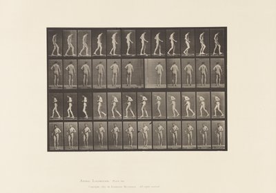 プレート548.側索硬化症; A、B、ウォーキング、1885 作： Eadweard Muybridge