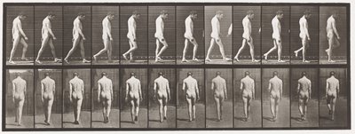 プレート549てんかん;ウォーキング、1885 作： Eadweard Muybridge