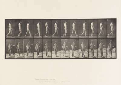 プレート551てんかん;ウォーキング、1885 作： Eadweard Muybridge