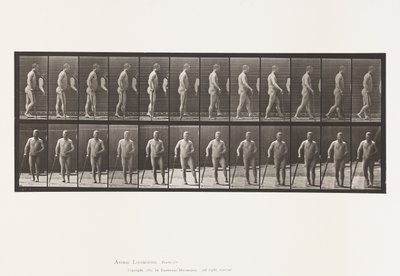 プレート552.片麻痺;杖を持って歩く、1885 作： Eadweard Muybridge