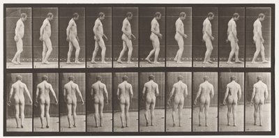 プレート553.頭の外傷後;ウォーキング、1885 作： Eadweard Muybridge