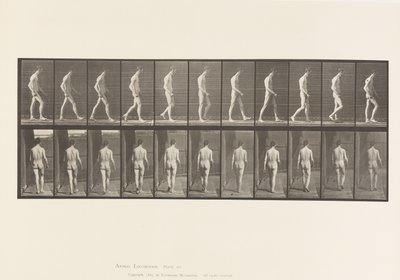 プレート554.運動失調症;ウォーキング、1885 作： Eadweard Muybridge