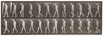 プレート555.脚の筋萎縮;大人、A、B、ウォーキング、1885 作： Eadweard Muybridge