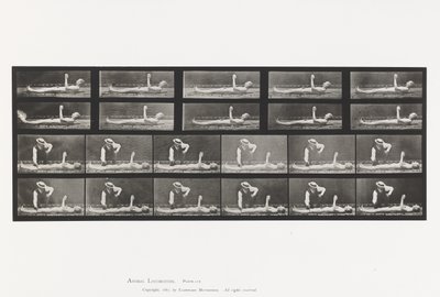 プレート556.局部的な舞踏病；A、B、横になっているとき 作： Eadweard Muybridge