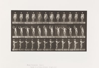 プレート557.地方舞踏会; A、B、C、立ちながら、1885 作： Eadweard Muybridge