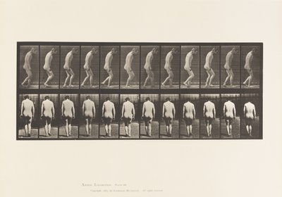 プレート558.麻痺;部分的;ウォーキング、1885 作： Eadweard Muybridge
