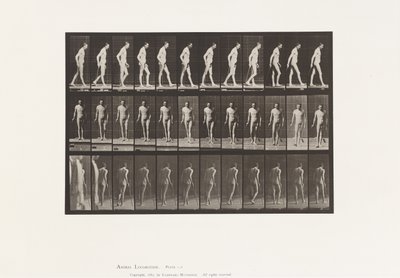 プレート559播種性硬化症、杖をついての歩行 作： Eadweard Muybridge