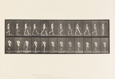 プレート560.運動失調症;ウォーキング、1885 作： Eadweard Muybridge