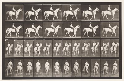 プレート579.ウォーキング;サドル;ホワイトホースエルベロン、1885年 作： Eadweard Muybridge